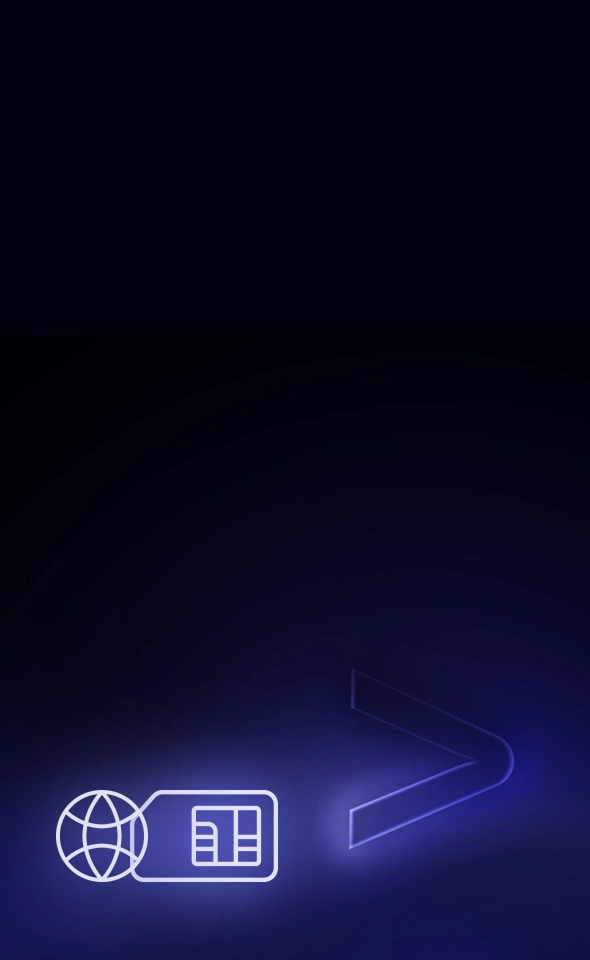 A Vasco eszközök egyik jellemzője, a világszerte ingyenes internetet jelképező ikon.